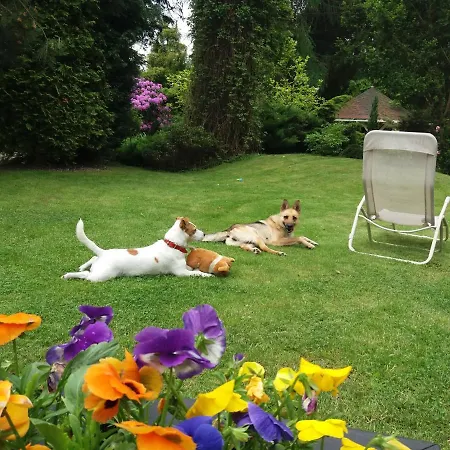 Black&white-cherry * Kołczewo