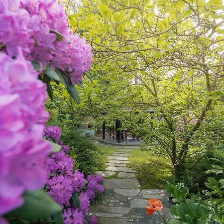 Black&white-cherry Domek letniskowy