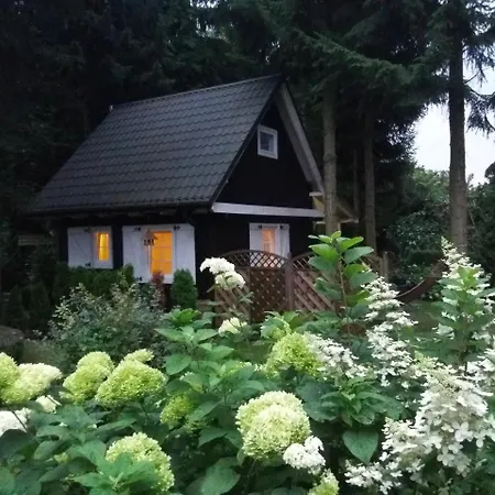 Black&white-cherry Kołczewo