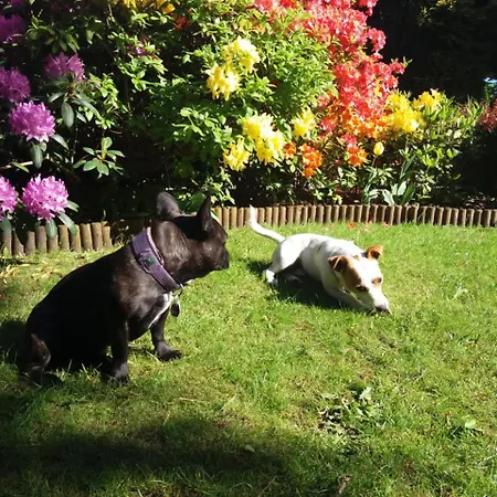 Lodge Black&white-cherry Kołczewo