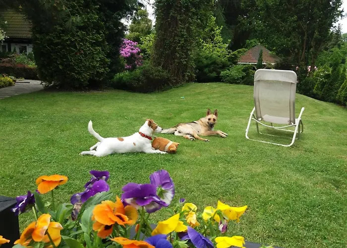 Black&white-cherry * コウチェボ