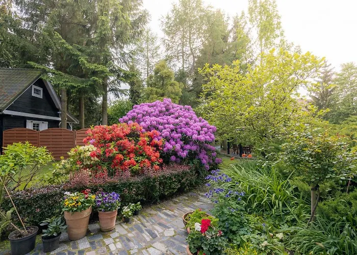 ロッジ Black&white-cherry コウチェボ