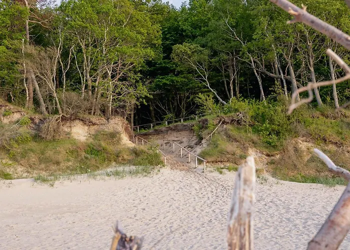 Black&white-cherry *