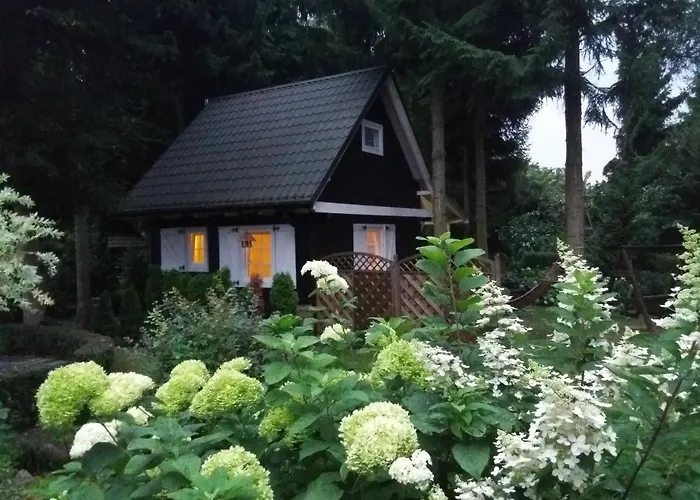 Black&white-cherry コウチェボ