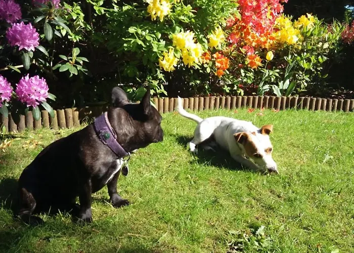 ロッジ Black&white-cherry コウチェボ